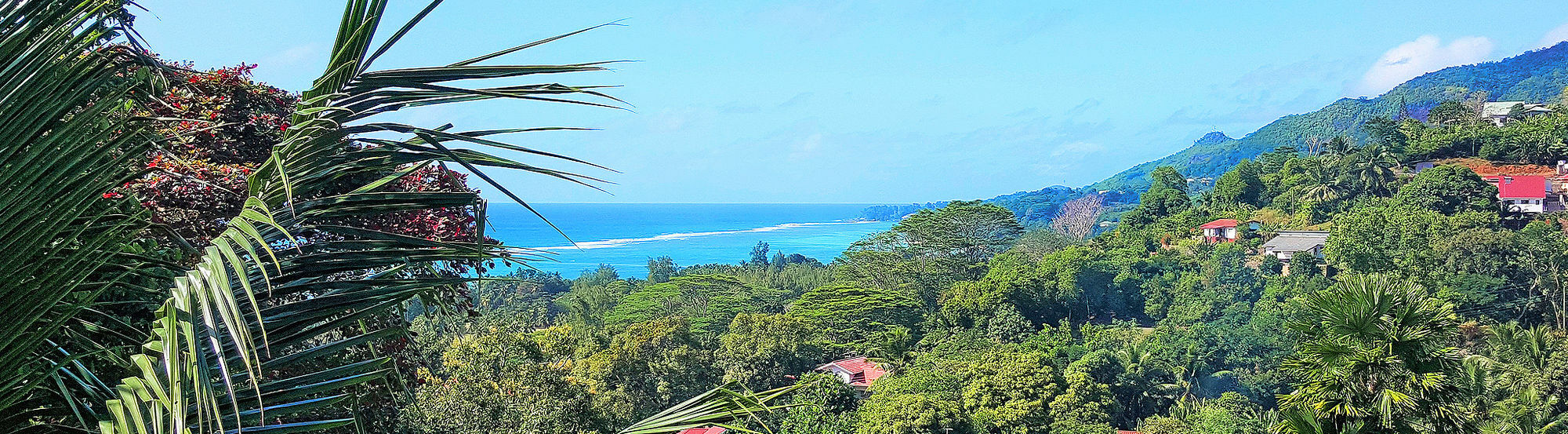 Maison Oasis Reef Estate Anse aux Pins Ngoại thất bức ảnh